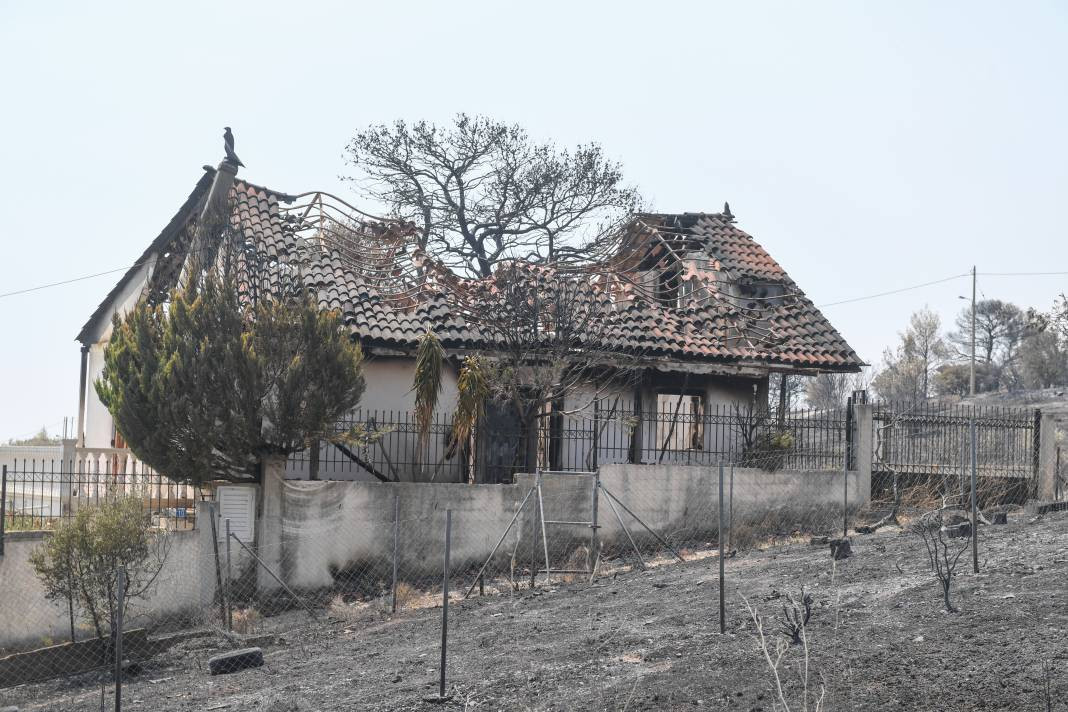Meriç Bölgesi'nde yanan ormanlık alanda ceset bulundu - Resim: 7